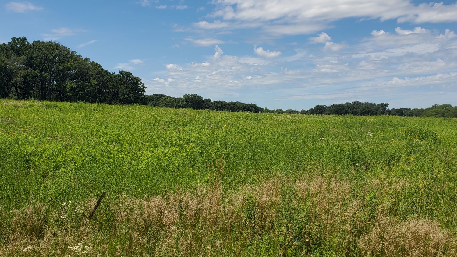 Saint James Forest Preserve 